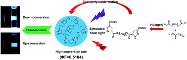 Graphical abstract: A high quantum yield two-way conversion luminescent oligomer: 1,4-butanediol-bis(5-carbonyl-3-carbethoxy-2-pyrazoline)