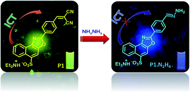 Graphical abstract: A highly sensitive naphthaoxazole-based cell-permeable ratiometric chemodosimeter for hydrazine