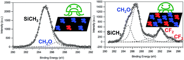 Graphical abstract: Copolymer films containing amphiphilic side chains of well-defined fluoroalkyl-segment length with biofouling-release potential