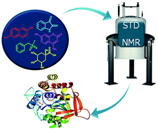 Graphical abstract: Non-competitive inhibitor of nucleoside hydrolase from Leishmania donovani identified by fragment-based drug discovery