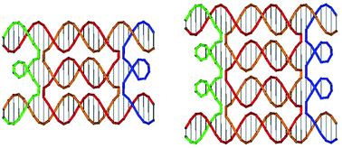 Graphical abstract: Self-assembly of DNA double multi-arm junctions (DMaJs)