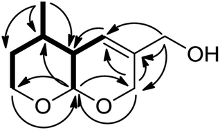 Graphical abstract: A concise asymmetric total synthesis for structure elucidation of 5,6-secoiridoid from Incarvillea argute