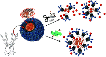 Graphical abstract: Reduction-controlled substrate release from a polymer nanosphere based on a viologen-cavitand