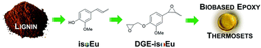 Graphical abstract: Diglycidylether of iso-eugenol: a suitable lignin-derived synthon for epoxy thermoset applications