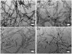 Graphical abstract: Controlling the width of nanosheets by peptide length in peptoid–peptide biohybrid hydrogels