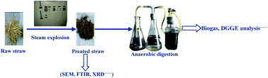Graphical abstract: Effect of steam explosion pretreatment on the anaerobic digestion of rice straw