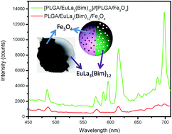 Graphical abstract: Electrospraying magnetic-fluorescent bifunctional Janus PLGA microspheres with dual rare earth ions fluorescent-labeling drugs