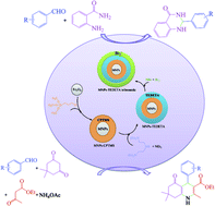 Graphical abstract: Tribromide ion immobilized on magnetic nanoparticle as a new, efficient and reusable nanocatalyst in multicomponent reactions