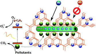 Graphical abstract: Solar and visible light photocatalytic enhancement of halloysite nanotubes/g-C3N4 heteroarchitectures