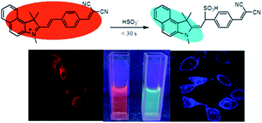 Graphical abstract: An A–π–A′ structural ratiometric fluorescent probe based on benzo[e]indolium for bisulfite and its application in sugar samples and living cells
