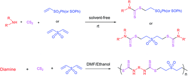 Graphical abstract: Multicomponent synthesis of dithiocarbamates starting from vinyl sulfones/sulfoxides and their use in polymerization reactions