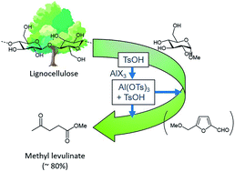 Graphical abstract: A practical and efficient synthesis of methyl levulinate from cellulosic biomass catalyzed by an aluminum-based mixed acid catalyst system