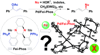 Graphical abstract: A mechanistic study on multifunctional Fei-Phos ligand-controlled asymmetric palladium-catalyzed allylic substitutions