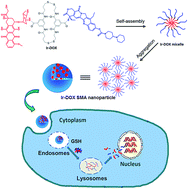 Graphical abstract: Amphiphilic drug–drug assembly via dual-responsive linkages for small-molecule anticancer drug delivery