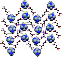 Graphical abstract: Anion assisted supramolecular self-assemblies of succinate and malate adducts: crystal structures and theoretical modelling