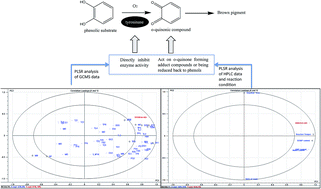 Graphical abstract: Inhibition effects of Maillard reaction products derived from l-cysteine and glucose on enzymatic browning catalyzed by mushroom tyrosinase and characterization of active compounds by partial least squares regression analysis