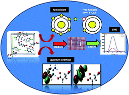 Graphical abstract: Growth, physicochemical and quantum chemical investigations on 2-amino 5-chloropyridinium 4-carboxybutanoate – an organic crystal for biological and optoelectronic device applications