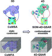 Graphical abstract: Multidimensional (3D/4D-QSAR) probability-guided pharmacophore mapping: investigation of activity profile for a series of drug absorption promoters