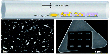 Graphical abstract: Vapor-phase preparation of single-crystalline thin gold microplates using HAuCl4 as the precursor for plasmonic applications
