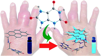 Graphical abstract: Pyrene appended thymine derivative for selective turn-on fluorescence sensing of uric acid in live cells