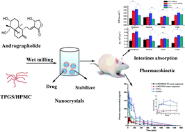 Graphical abstract: Nanonization of andrographolide by a wet milling method: the effects of vitamin E TPGS and oral bioavailability enhancement