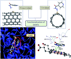 Graphical abstract: Si-Doped single-walled carbon nanotubes interacting with isoniazid-a density functional and molecular docking study