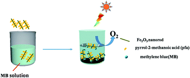 Graphical abstract: Nanosorbcats of methylene blue on novel Fe2O3 nanorods for photocatalytic water oxidation