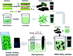 Graphical abstract: A binder free synthesis of 1D PANI and 2D MoS2 nanostructured hybrid composite electrodes by the electrophoretic deposition (EPD) method for supercapacitor application