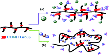 Graphical abstract: Carbon dioxide affects the phase transition of poly(N-isopropylacrylamide)