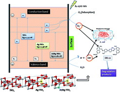 Graphical abstract: A visible light mediated synergistic catalyst for effective inactivation of E. coli and degradation of azo dye Direct Red-22 with mechanism investigation