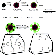 Graphical abstract: Thermosensitive molecularly imprinted polymers based on magnetic nanoparticles for the recognition of sulfamethazine