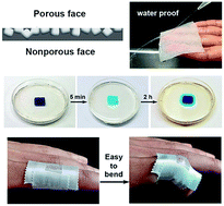 Graphical abstract: Janus films with stretchable and waterproof properties for wound care and drug delivery applications