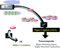 Graphical abstract: Reinforcement effects of nanocarbons on catalyst behaviour and polyethylene properties through in situ polymerization