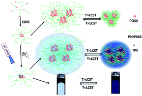 Graphical abstract: Aggregation induced emission controlled by a temperature-sensitive organic–inorganic hybrid polymer with a particular LCST