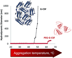 Graphical abstract: Impact of PEGylation and non-ionic surfactants on the physical stability of the therapeutic protein filgrastim (G-CSF)