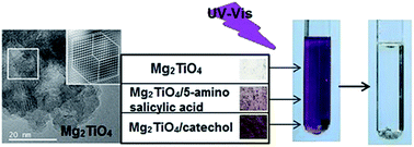 Graphical abstract: Enhanced photoredox chemistry in surface-modified Mg2TiO4 nano-powders with bidentate benzene derivatives