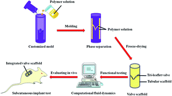 Graphical abstract: Preliminary study of a novel nanofiber-based valve integrated tubular graft as an alternative for a pulmonary valved artery