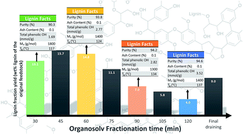 Graphical abstract: Effects of organosolv fractionation time on thermal and chemical properties of lignins