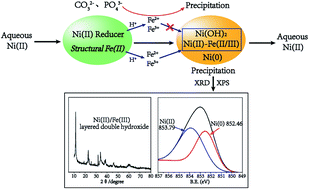 Graphical abstract: Aqueous nickel sequestration and release during structural Fe(ii) hydroxide remediation: the roles of coprecipitation, reduction and substitution