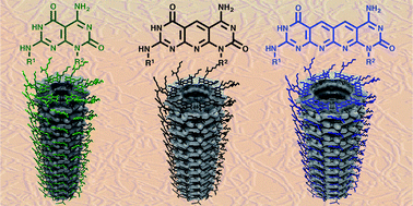 Graphical abstract: Molecular and supramolecular chemistry of rosette nanotubes