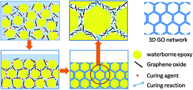 Graphical abstract: Composites of graphene oxide and epoxy resin assuming a uniform 3D graphene oxide network structure