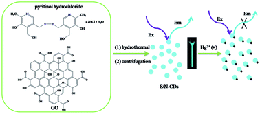 Graphical abstract: A hydrothermal route for synthesizing highly luminescent sulfur- and nitrogen-co-doped carbon dots as nanosensors for Hg2+