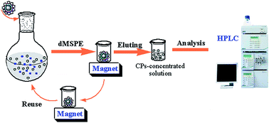 Graphical abstract: Highly selective amino-functionalized magnetic molecularly imprinted polymers: absorbents for dispersive solid phase extraction and trace level analysis of chlorophenols in seawater