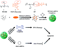 Graphical abstract: Poly[platinum(iv)-alt-PEI]/Akt1 shRNA complexes for enhanced anticancer therapy