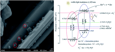 Graphical abstract: Characterization and mechanism analysis of AgBr mixed cuboid WO3 rods with enhanced photocatalytic activity