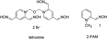 Graphical abstract: Tetroxime: reactivation potency – in vitro and in silico study