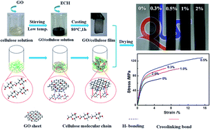 Graphical abstract: Graphene oxide/cellulose composite films with enhanced UV-shielding and mechanical properties prepared in NaOH/urea aqueous solution