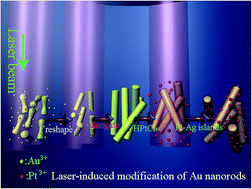 Graphical abstract: Laser-induced modification of dog-bone-like Au nanorods for accurate growth of well-defined cylindrical structures