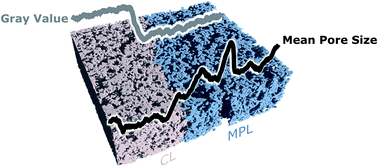 Graphical abstract: Three-dimensional morphology of the interface between micro porous layer and catalyst layer in a polymer electrolyte membrane fuel cell