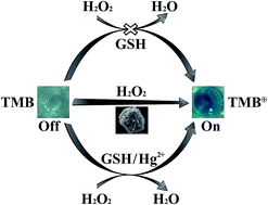 Graphical abstract: Sphere-like CoS with nanostructures as peroxidase mimics for colorimetric determination of H2O2 and mercury ions